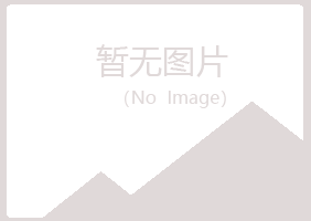 岳池县山柳工程有限公司